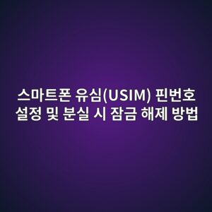 스마트폰 유심(USIM) 핀번호 설정 및 분실 시 잠금 해제 방법 3 ec8aa4eba788ed8ab8ed8fb0 ec9ca0ec8bacusim ed9580ebb288ed98b8 ec84a4eca095 ebb08f ebb684ec8ba4 ec8b9c ec9ea0eab888 ed95b4eca09c ebb0a9 1788876673