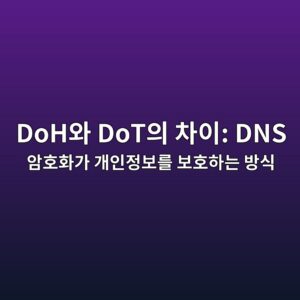 DoH와 DoT의 차이: DNS 암호화가 개인정보를 보호하는 방식 8 dohec9980 dotec9d98 ecb0a8ec9db4 dns ec9594ed98b8ed9994eab080 eab09cec9db8eca095ebb3b4eba5bc ebb3b4ed98b8ed9598eb8a94 ebb0a9ec8b9d 1791007680