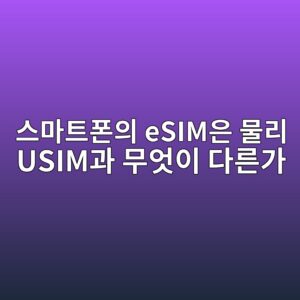 스마트폰의 eSIM은 물리 USIM과 무엇이 다른가? 3 ec8aa4eba788ed8ab8ed8fb0ec9d98 esimec9d80 ebacbceba6ac usimeab3bc ebacb4ec9787ec9db4 eb8ba4eba5b8eab080 1791040274