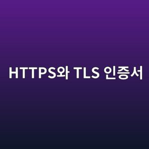 HTTPS와 TLS 인증서의 차이: 자물쇠 표시가 실제로 보장하는 것 4 httpsec9980 tls ec9db8eca69dec849c 1792803217